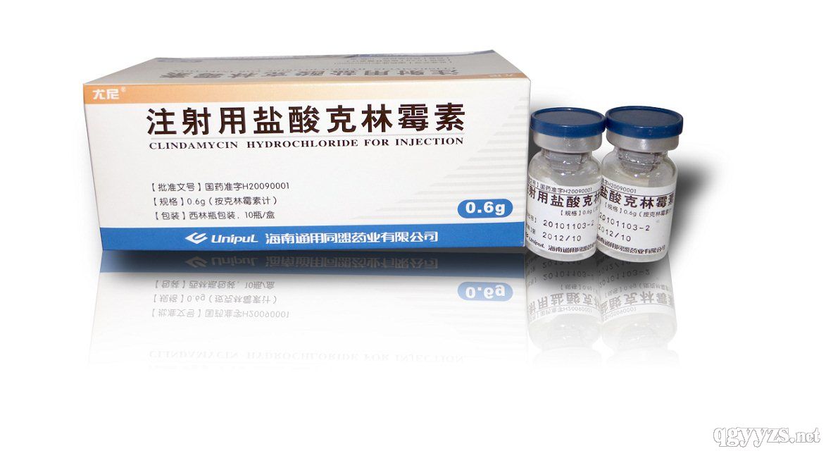 克林霉素注射劑 產(chǎn)業(yè)機(jī)遇下的雙刃劍效應(yīng)與合規(guī)經(jīng)營(yíng)路徑